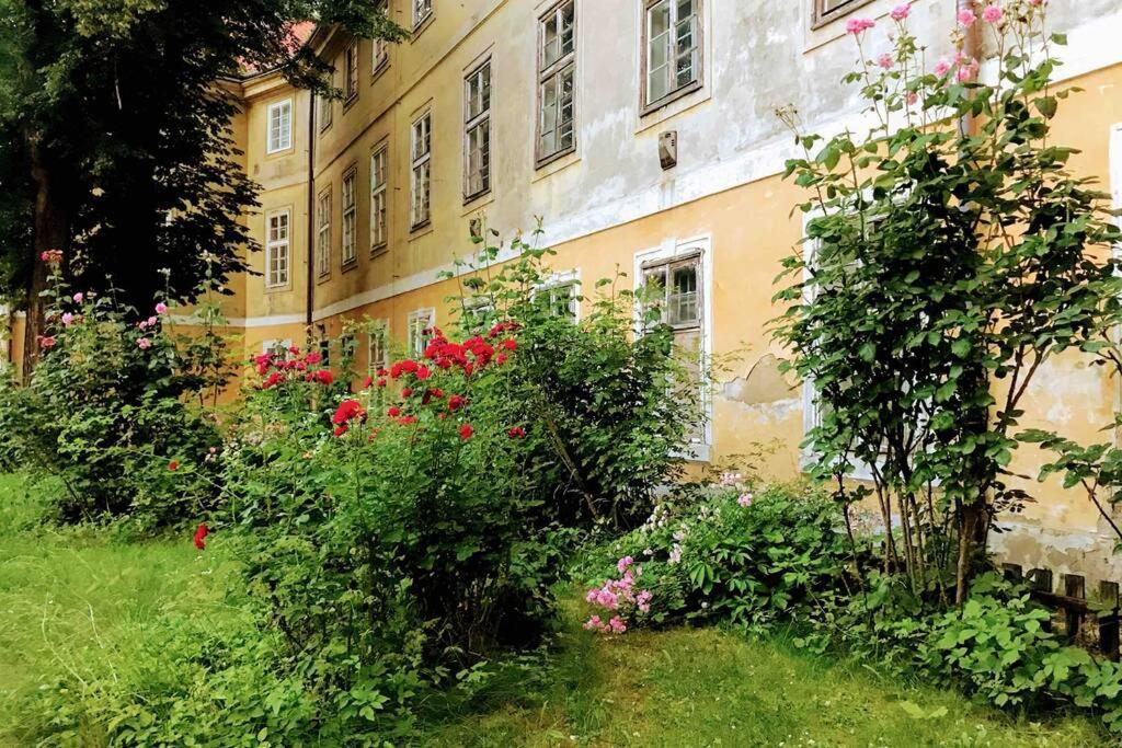 Rose Apartments / Romantic & Cozy / City Center Prag Eksteriør billede